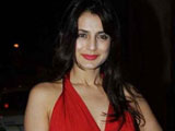 ameesha patel to flaunt i kashmiri i work sari at cannes red carpet