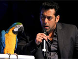 Now ride the Bigg Boss 6 tour bus