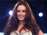 Evelyn Sharma bags lead role in Dannk evelynthumbnew.jpg