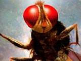 Wanted audience to connect with fly: Makkhi designer