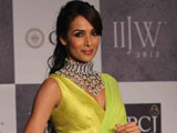 Dabangg 2 making in full swing: Malaika Arora Khan