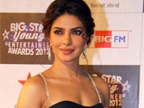 Priyanka Chopra: I will protect my sisters in Bollywood priyanka-black-s.jpg