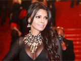 Sherlyn Chopra wears transparent dress to Cannes red carpet