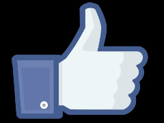 How to Clean Facebook, Twitter, and Other Social Websites Facebook_like_thumb.jpg