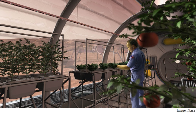 Vegetables Grown on Mars-Like Soil Found Safe for Humans: Study