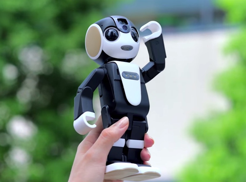 RoBoHon Robot Mobile Goes on Sale in Japan