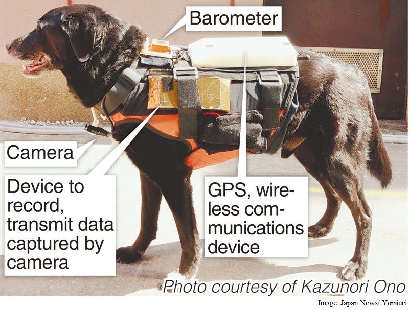 'Robodogs' With Hi-Tech Vests to Help in Disasters