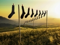 Can't find your socks; there's an app for that black-socks-120.jpg