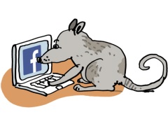 The Bright Side of Facebook's Social Experiments on Users cir_state_column_facebook_nyt_small.jpg