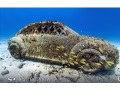 Google adds new locations to its underwater Street View imagery google_street_view_underwater_update_monaco_googleplus_small.jpg