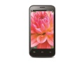Lava Iris 505 budget 5-inch Android 4.2 phablet launched at Rs. 9,499 lava-iris-505-small.jpg