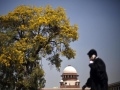 DoT given time till March 14 to reply to Loop settlement plea lawyer_talking_on_mobile_reuters_small.jpg