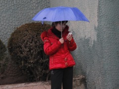 New Smartphone Apps Assist the Devout During Ramadan north_korea_cellphone_user_ruerters_small.jpg