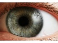 Samsung Galaxy S5 to come with 2K display, eye-scanning sensor: Report samsung-iris-scanner-rumour-120.jpg