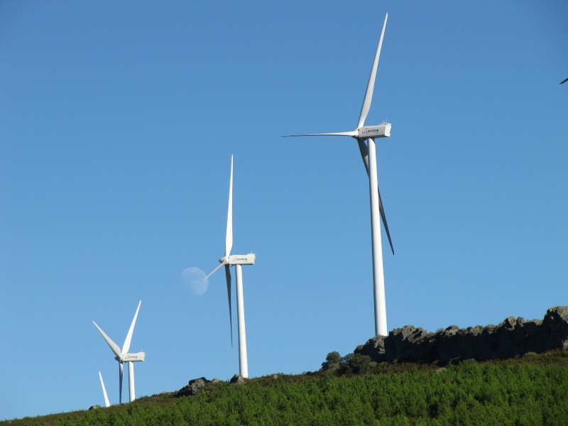 Google Buys Output From Two New Nordic Wind Farms