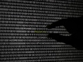 He didn't hack, he scraped ICSE results and look what he found us-cyber-security-120.jpg