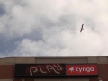 Zynga to cut 520 jobs, closing some offices in US zynga-120.jpg