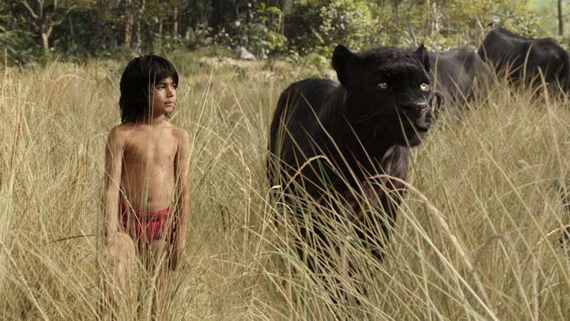 The Weekend Chill: The Jungle Book, Star Wars, and More