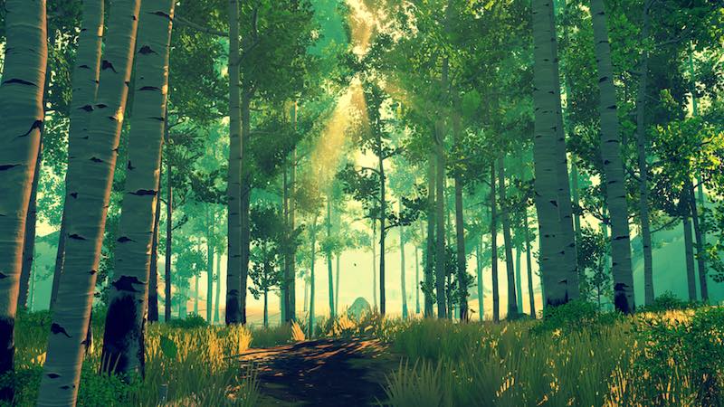 forest_firewatch_camposanto.jpg