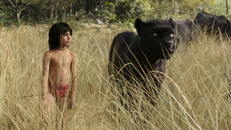 movies_2016_april_jungle_book.jpg