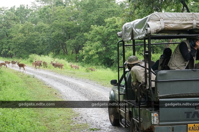 seven_expert_tips_for_wildlife_photography_composition_ndtv.jpg