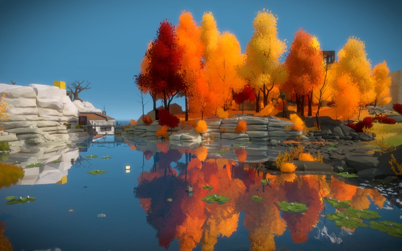 the witness review