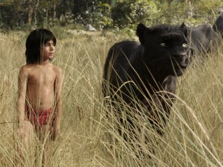 The Weekend Chill: The Jungle Book, Star Wars, and More