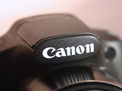 Canon PowerShot SX530 HS Review: A Slightly Tweaked Formula