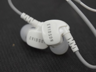 Evidson Audio Sport W6 Review