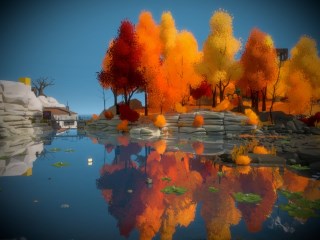 The Witness Review