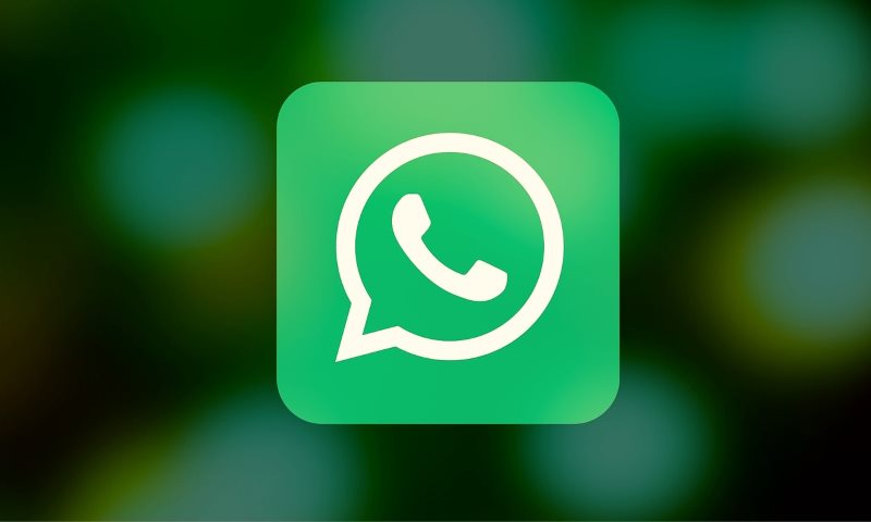 10 Crazy WhatsApp Facts You Probably Didn't Know