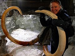 Mammoth Cloning Closer to Reality With Discovery of Well-Preserved Specimen