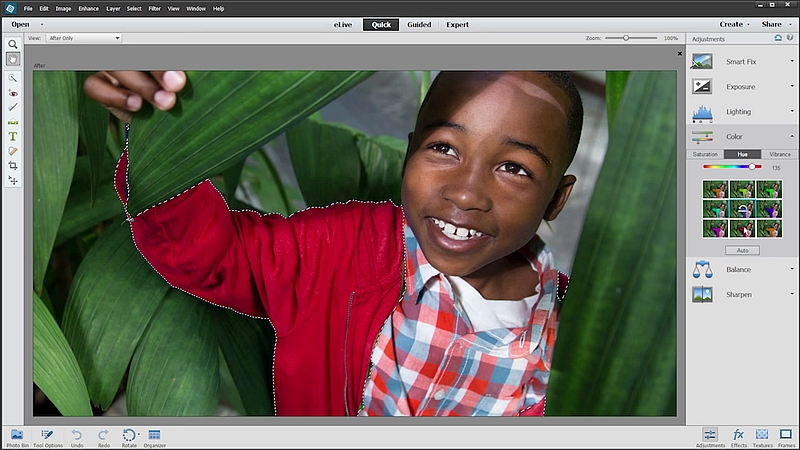 Adobe Photoshop, Premiere Elements 14 Get New Tools and 4K Video