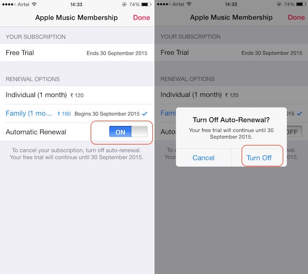 check apple subscriptions