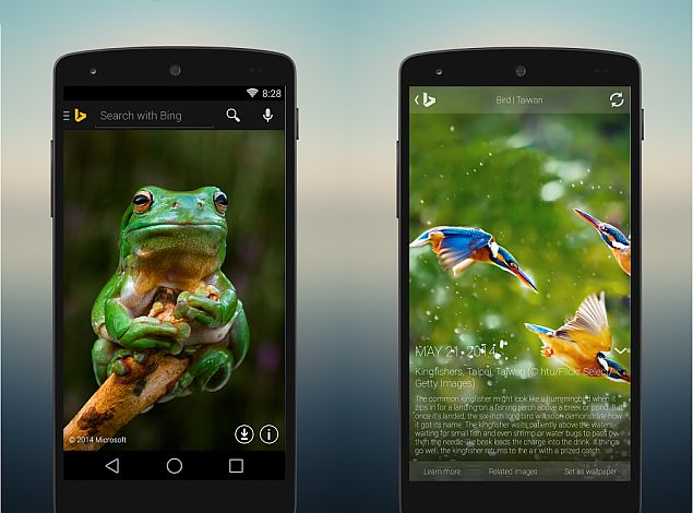 New Lumia Phones Lose Option to Set Google as Default Search: Report