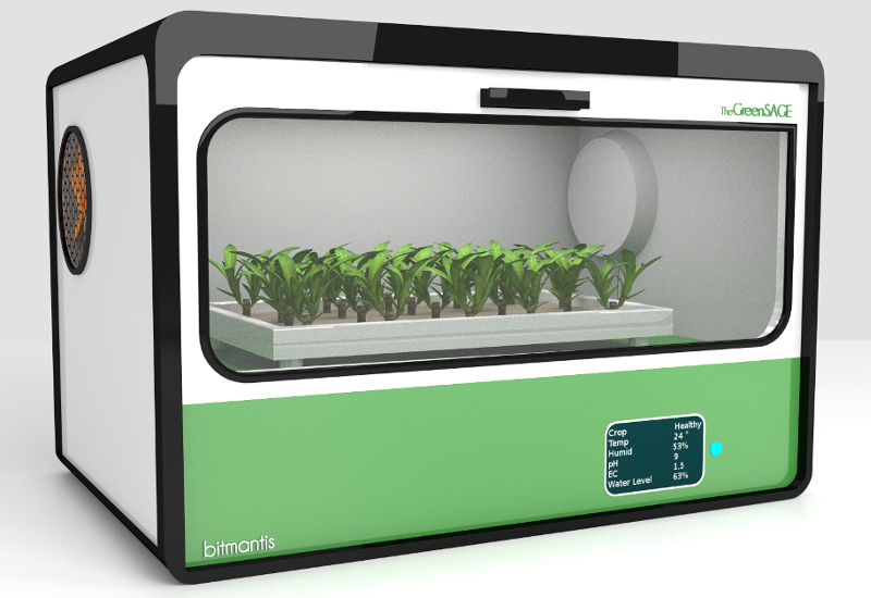 This Bengaluru-Based Firm Wants to Help You Grow Your Greens at Home