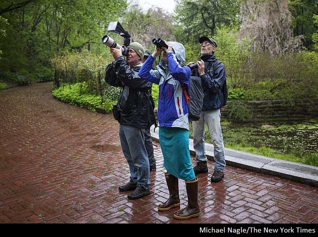 It's Gadgets vs. Eyeballs as Two Species of Bird Watchers Clash