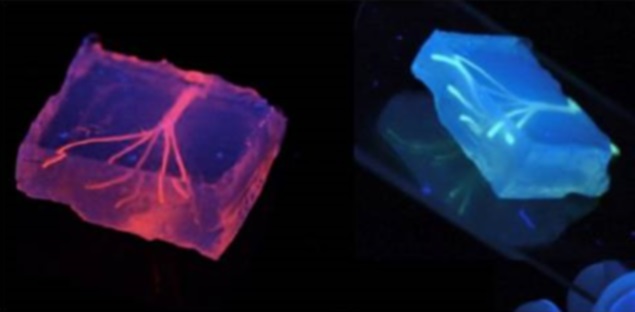 New Breakthrough Paves the Way for 3D-Printed Blood Vessels