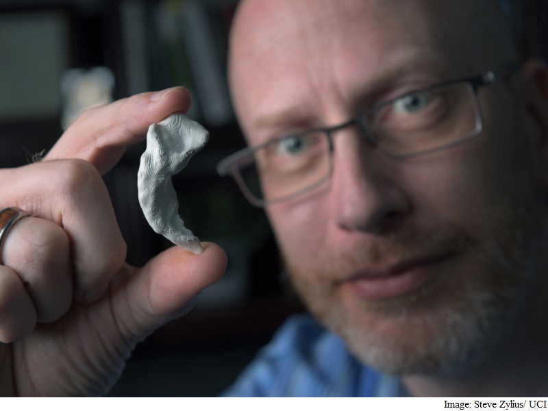 Playing 3D Video Games Can Boost Memory Formation: Study