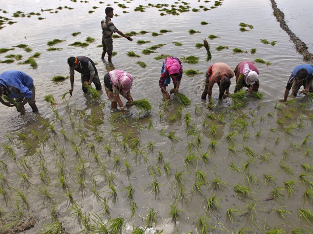 DMK Government Presents Exclusive Farm Budget, First In Tamil Nadu