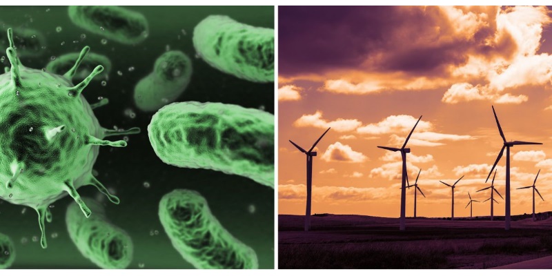 Bacteria Can Be Used to Power Micro-Machines, Including Smartphone Components: Study