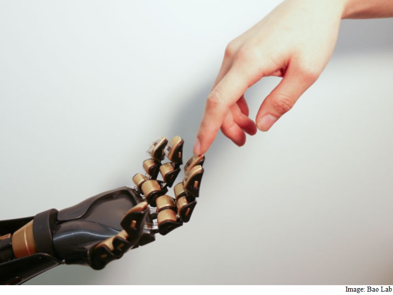 Artificial Skin Created That Senses Touch