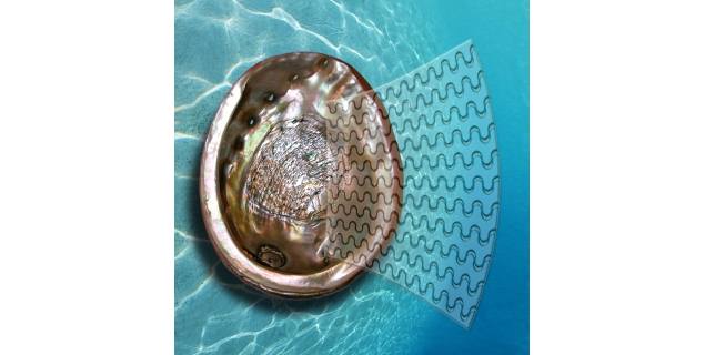 NextGen glass that bends but does not break