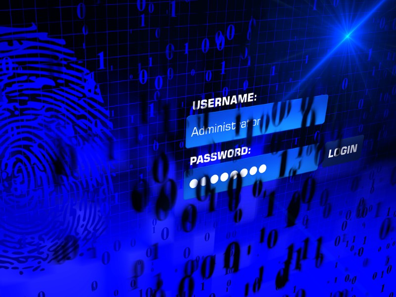 Could Skull Echos and Brainprints Replace the Password?