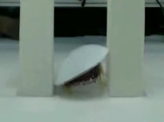 Cockroach-Inspired Robot Can Navigate Cluttered Environs Cockroach-Inspired Robot Can Navigate Cluttered Environs