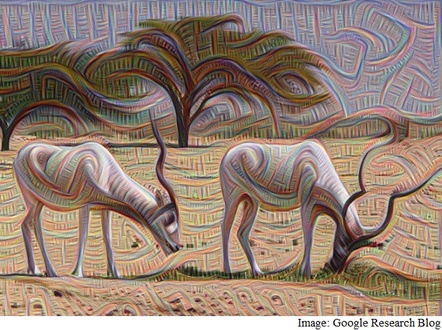 Deep Learning: Teaching Computers to See Like People