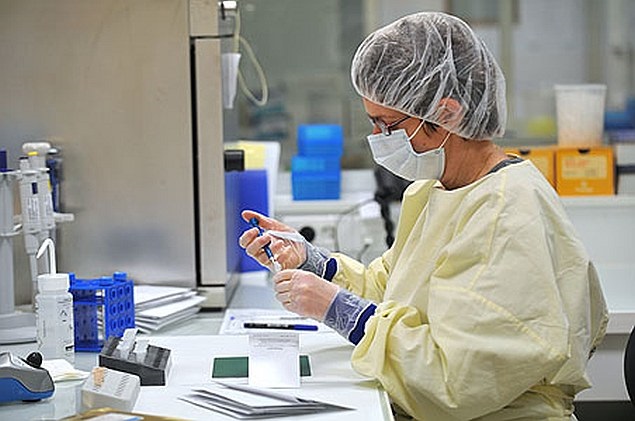 Scientists Grow Functional Nerve Cells Using Stem Cells