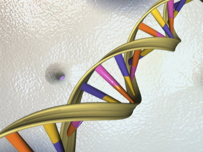 Scientists Propose Project to Build Synthetic Human Genome