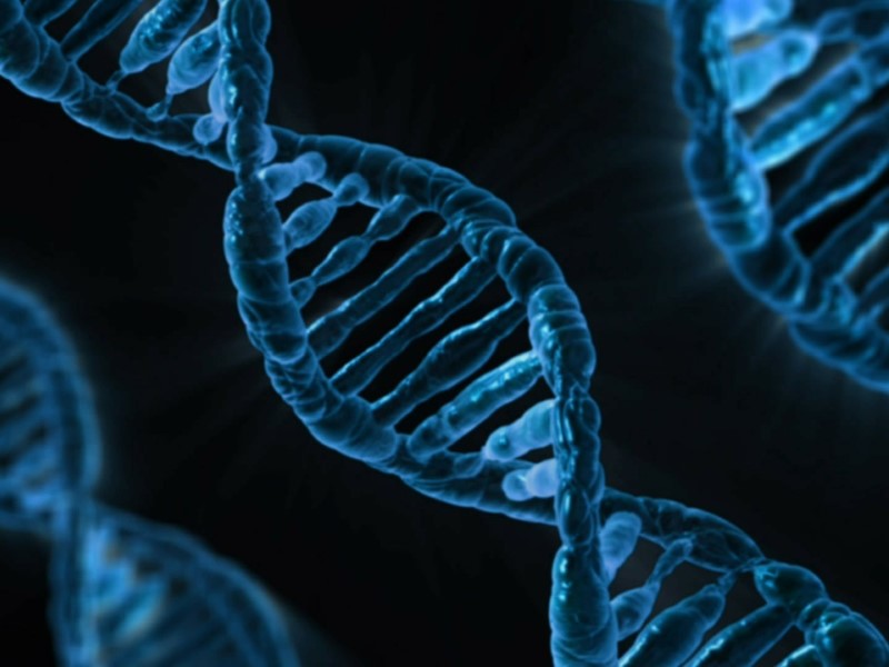 Japan Earmarks JPY 8.6 Billion to Develop Genome Editing Technology