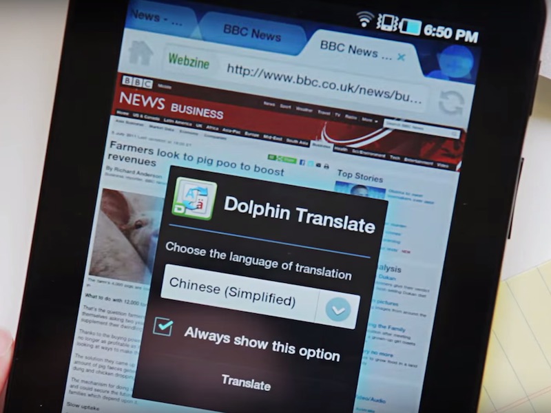 'Popular Android Browsers Dolphin and Mercury Are Vulnerable'